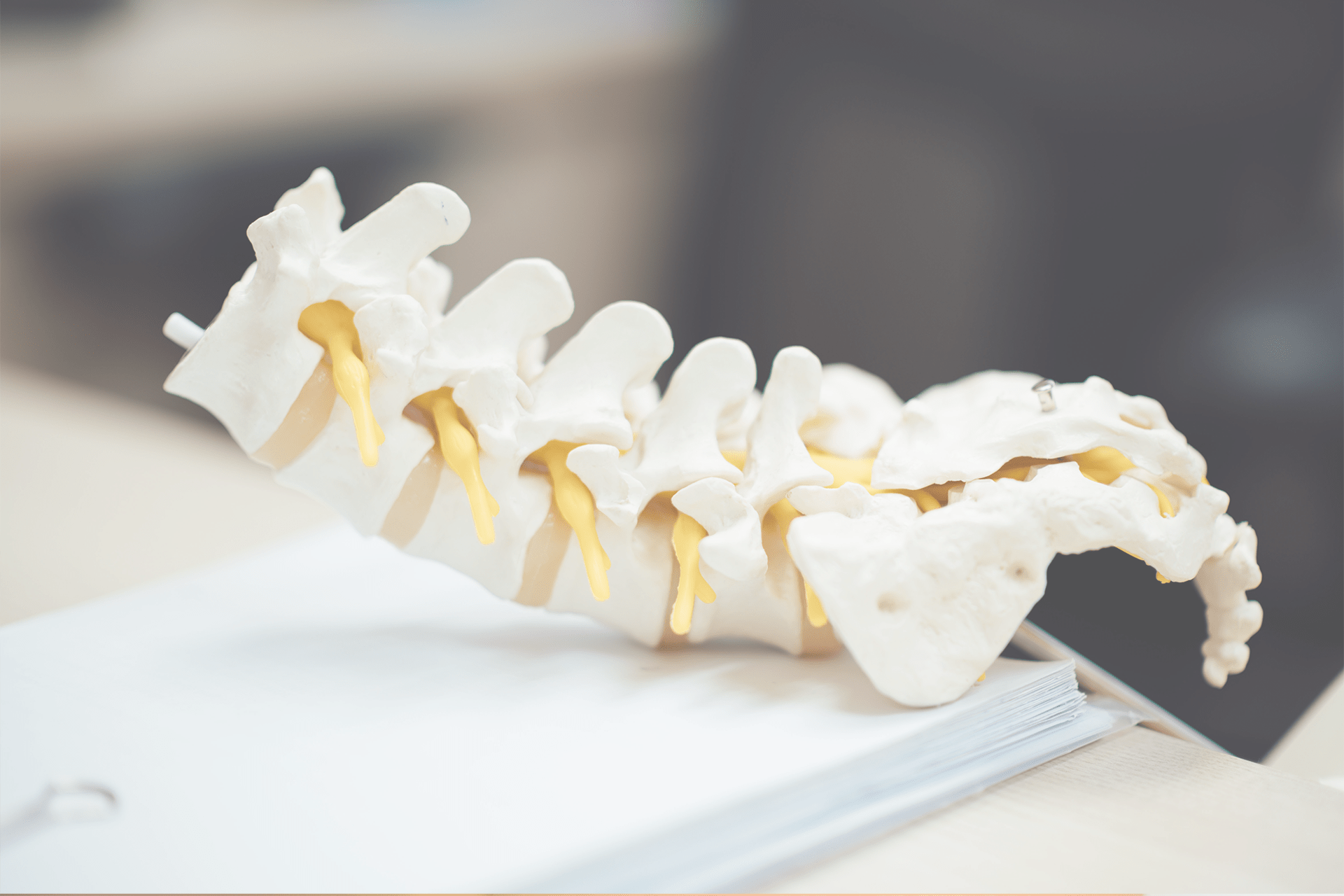 Artificial spinal bones